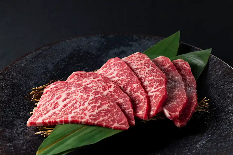 カメノコの写真画像